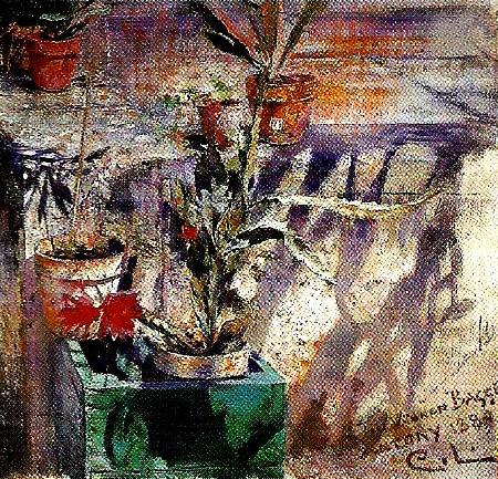 Carl Larsson stilleben med blomkrukor oil painting image